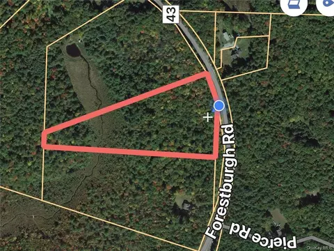 Forestburgh Road, Lumberland, NY 12737