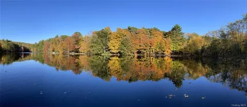507 Prospect Hill Rd, Deerpark, NY 12729