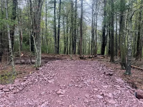 lot2 Van Tuyl Rd, Lumberland, NY 12719