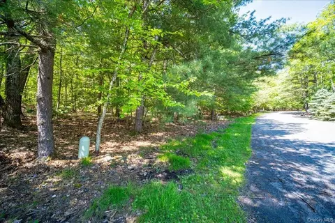 Tbd Norfolk Court, Thompson, NY 12775
