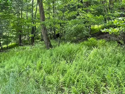 Cr-116, Cochecton, NY 12726