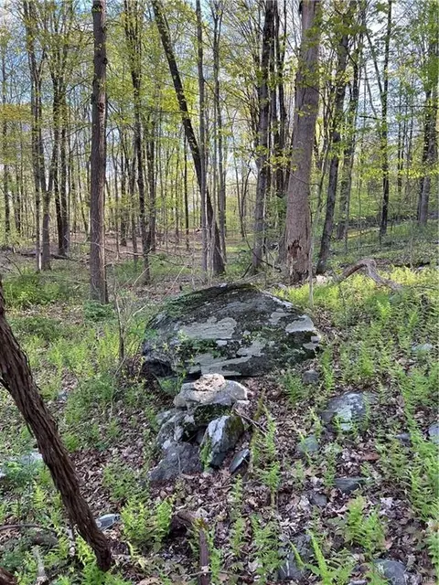 Lakes Road, Warwick, NY 10990