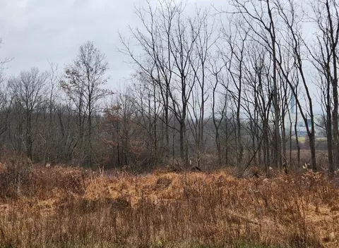120 Bates Gates Rd, Wawayanda, NY 10958