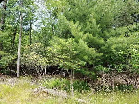 Brady Avenue, Bethel, NY 12778