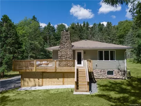 225 White Roe Lake Rd, Rockland, NY 12758