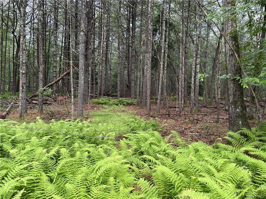 Lot 62 2 Lake Vw Dr  