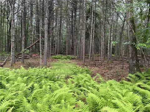 lot62 2 Lake View Dr, Highland, NY 12743