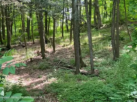tbd Oakwood Dr, Esopus, NY 12401