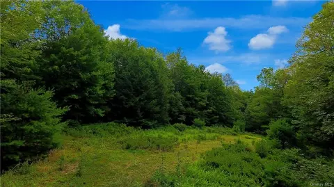 Pleasant Valley Road, Mamakating, NY 12566