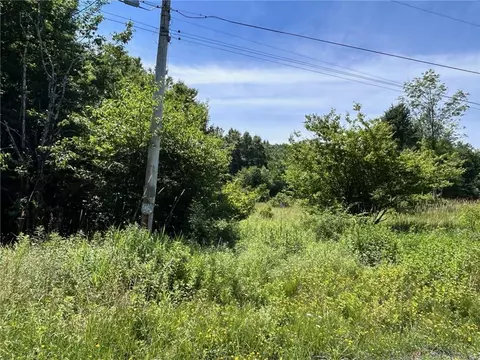 Wm Brown Road, Fremont, NY 12736