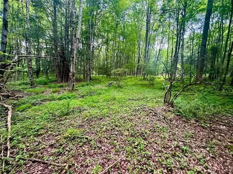 125 S Hill Rd, Neversink, NY 12765