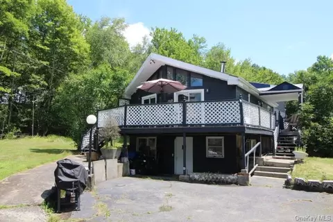 845 Fox Mountain Rd, Livingston Manor, NY 12758
