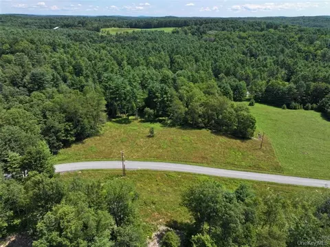 5 Pine Meadows Farm Old County Rd, Cochecton, NY 12726
