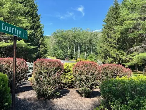 Country Lane, Delaware, NY 12723