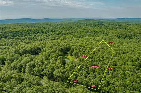 Budd Road, Mamakating, NY 12790