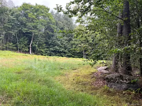 34 Black Bear Xing, Liberty, NY 12725