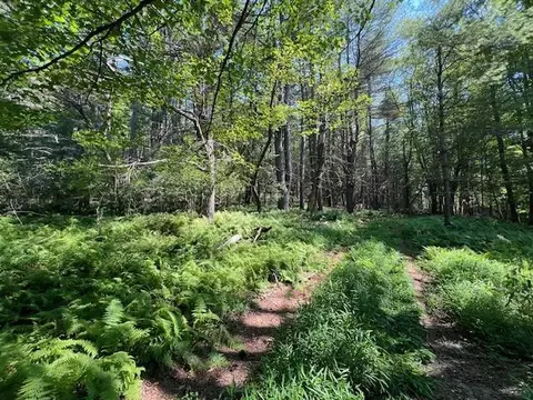 lot47 2 High Rd, Lumberland, NY 12737
