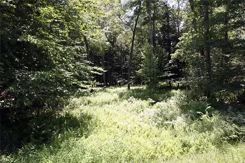 Serenity Drive, Delaware, NY 12723