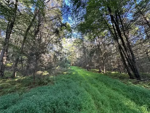 lot15 8 Ward Brower Jr Dr, Highland, NY 12719