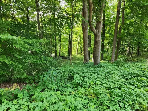Rambler Road, Kent, NY 10512