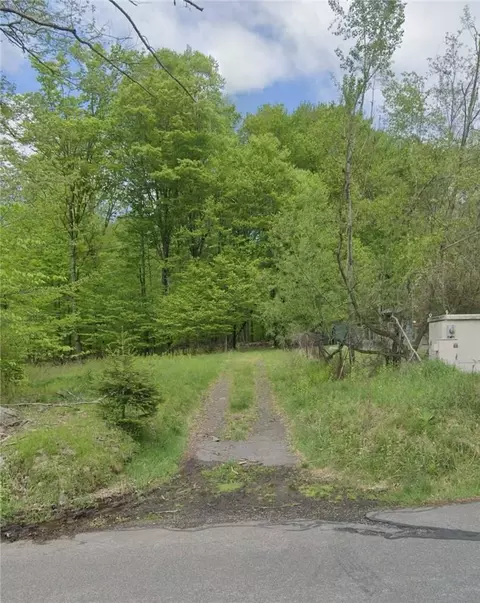 Mongaup Road, Thompson, NY 12701
