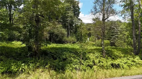 Revonah Hill Road, Liberty, NY 12754