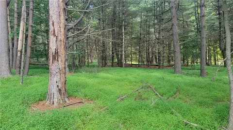 High Road, Lumberland, NY 12737