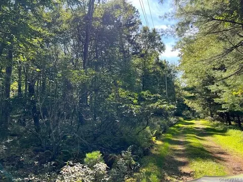 Undisclosed, Lumberland, NY 12737