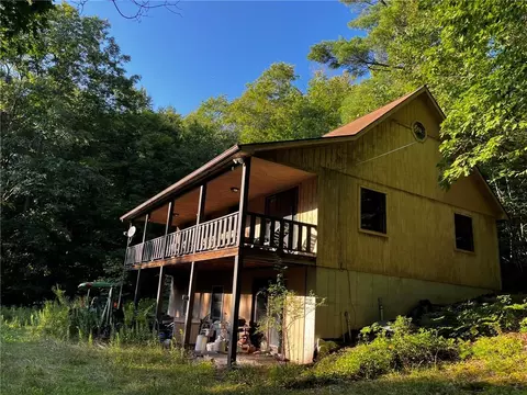 47 Bear Mountain Rd, Colchester, NY 13755