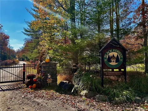 Upper Lumber Road, Lumberland, NY 12737