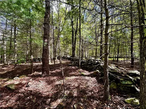 Tuthill Road, Lumberland, NY 12770