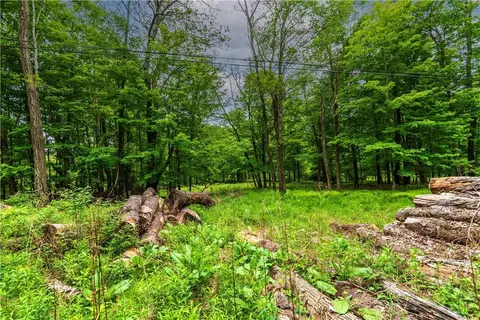 402 Harris Rd, Thompson, NY 12701