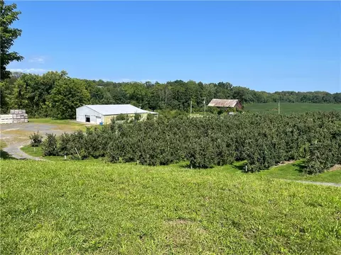 Ten Broeck Road, Livingston, NY 12534
