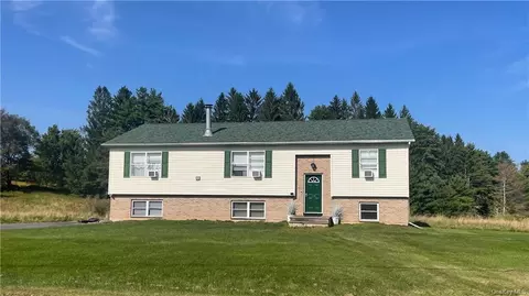 315 Mohn Rd, Cochecton, NY 12726