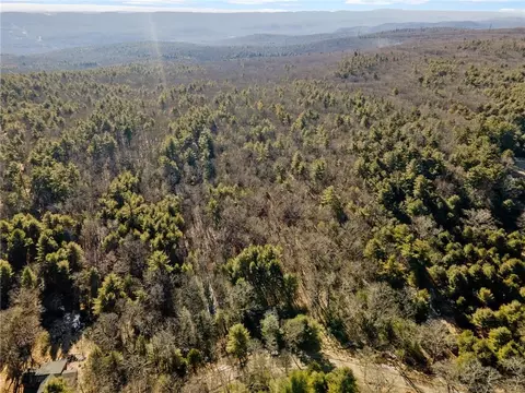 Skinner Road, Mamakating, NY 12790