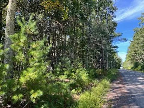 lot64 Haring Rd, Lumberland, NY 12737