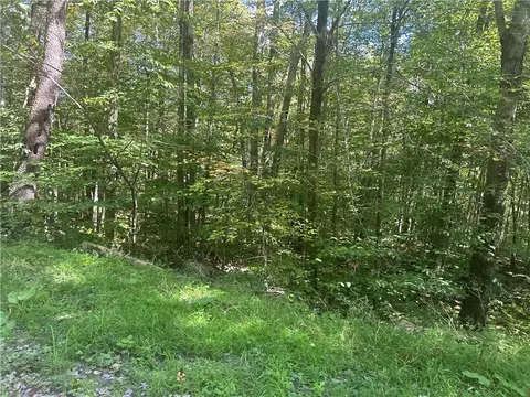 Bowers Road, Fremont, NY 12736