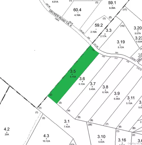 Decker Road, Lumberland, NY 12737