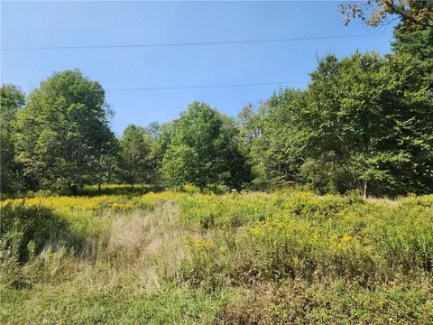 231 County Road 92, Fremont, NY 12776