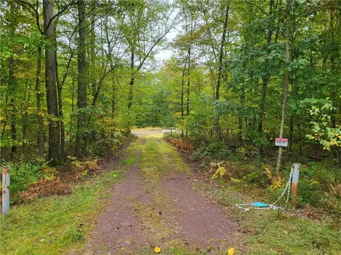 Cushetunk Drive, Cochecton, NY 12764