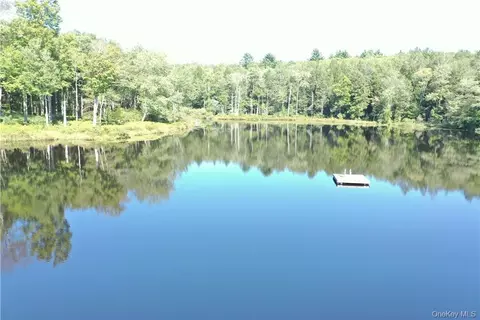 17 Gold Dan #56C, Swan Lake, NY 12783