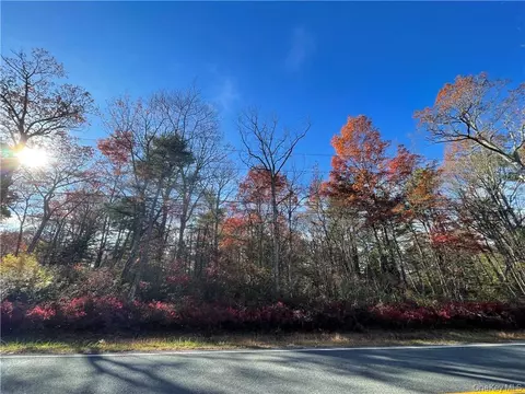 lot84 Forestburgh Rd, Lumberland, NY 12737