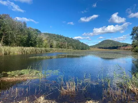 Bog Hollow Road, Amenia, NY 12501