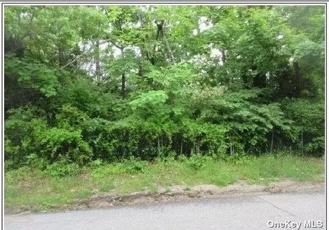 0 Mount Vernon Ave, Brookhaven, NY 11772