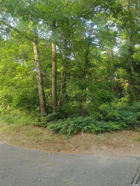 Cedar Lane, Brookhaven, NY 11763