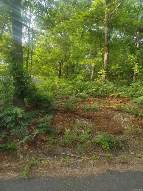 Cedar Lane, Brookhaven, NY 11763 photo 3