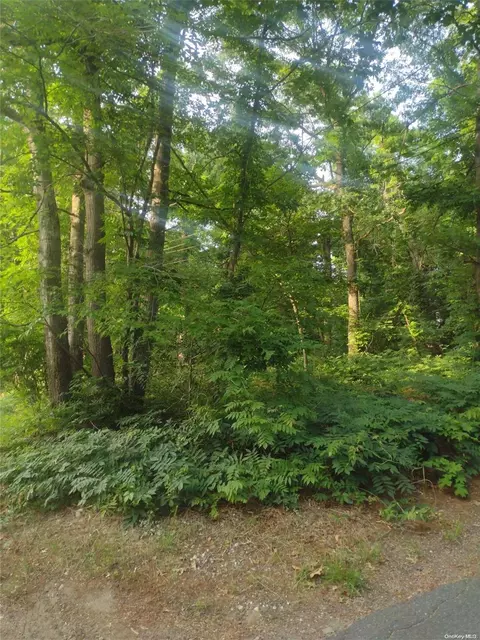 Cedar Lane, Brookhaven, NY 11763 photo 2