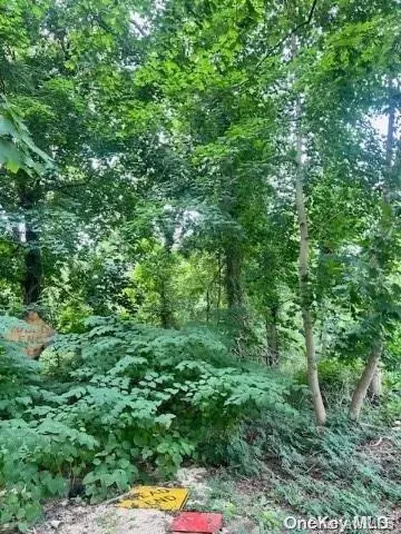 lot39 Lincoln Ave, Brookhaven, NY 11784