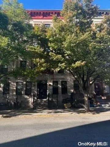 725 Macdonough St #B1B, Brooklyn, NY 11233