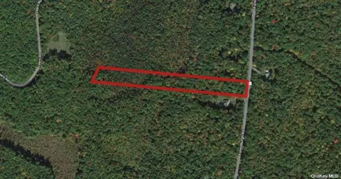 0 Forestburgh Rd, Lumberland, NY 12737